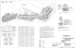 Landscape plan for Thomas Jefferson Middle School.